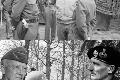 What Bradley and Patton Said When Montgomery Took Credit for the Bulge