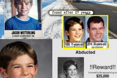 MINNESOTA 1989 COLD CASE Solved: BOY VANISHES On BIKE RIDE – ARREST SHOCKS The COMMUNITY