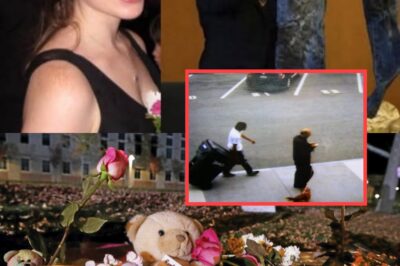 A Recycling Bin Rolled Down the Hallway — No One Knew What Was Inside.