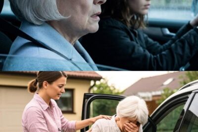 I thought my adopted daughter was taking me to an asylum, but when I saw where we were really going, I was shocked.