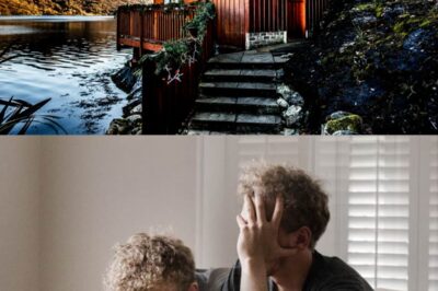 After My Wife’s Funeral, I Never Told My Son About the Tobermory Cabin She Left Me. Six Weeks…