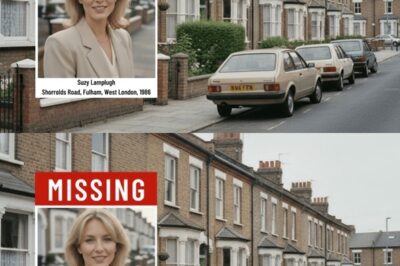 Young Woman Vanished in 1986 — 38 Years Later, the BMW Witness Was Proven Right…