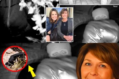 He Thought He’d Buried the Truth — Then DNA Finally Exposed Nancy Guthrie’s Kidnapper