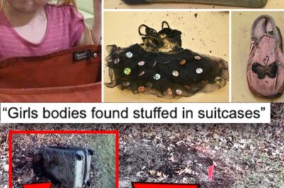 Two Little Girls Buried in Suitcases — The Chilling Mystery No One Could Explain